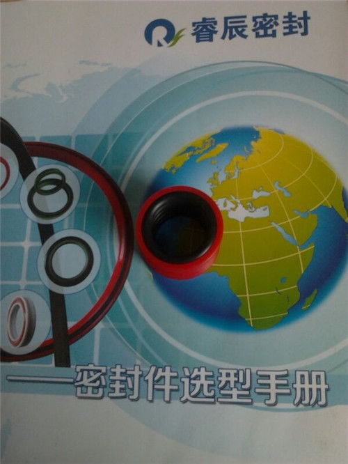 密封件 岳阳密封件 睿辰密封