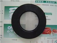 全氟醚（FFKM/FFPM）、全氟橡胶与氟橡胶密封件的全面解析