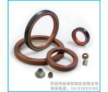 氟橡胶密封件 卓越性能与广泛应用的全方位解析